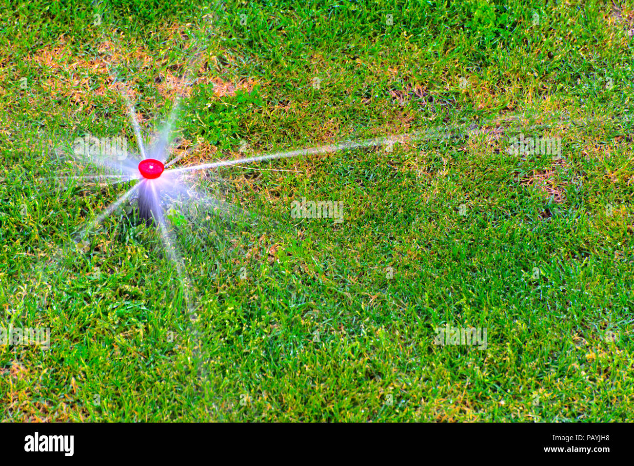 The modern device of the irrigation garden. Automatic sprinkler system ...
