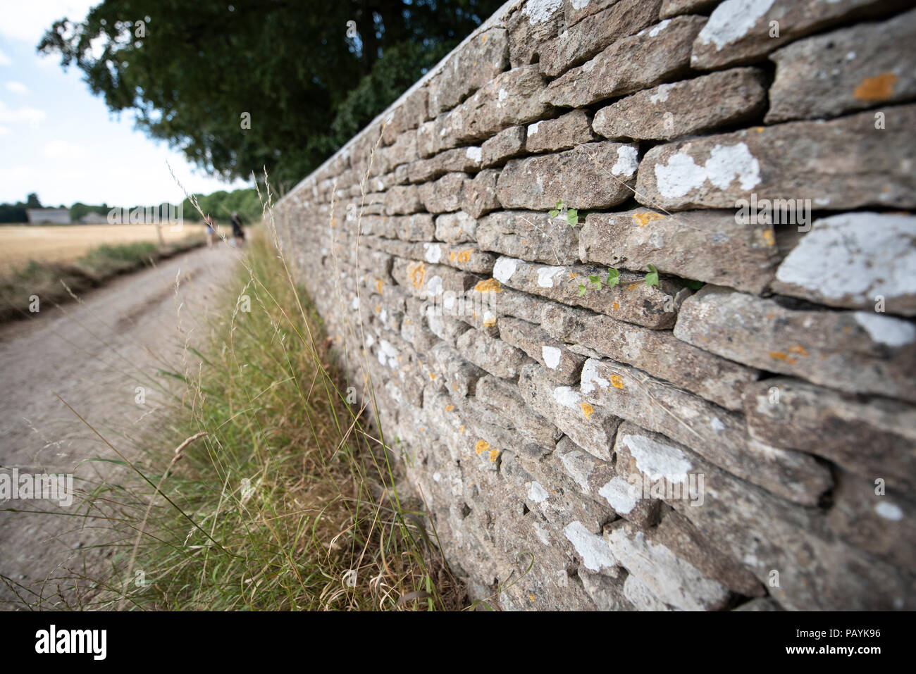 Cotswold stone wall Stock Photo Alamy