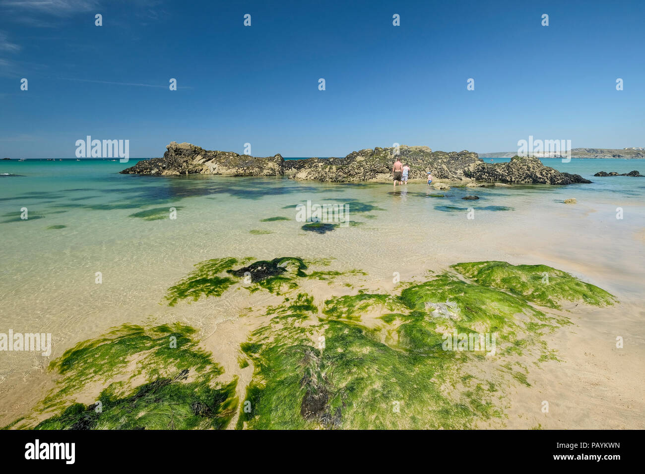 Towan Beach in Newquay Cornwall looking almost tropical in the summer sun. Stock Photo