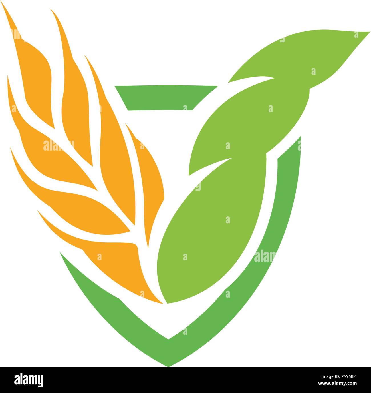 Wheat Vector Grain Icon Isolated Abstract Orange Color Wheat Ear