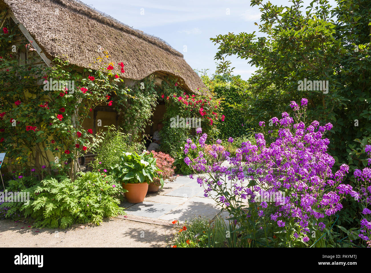 A cottage garden and thatched summer house at Rosemoor North Devon UK Stock Photo