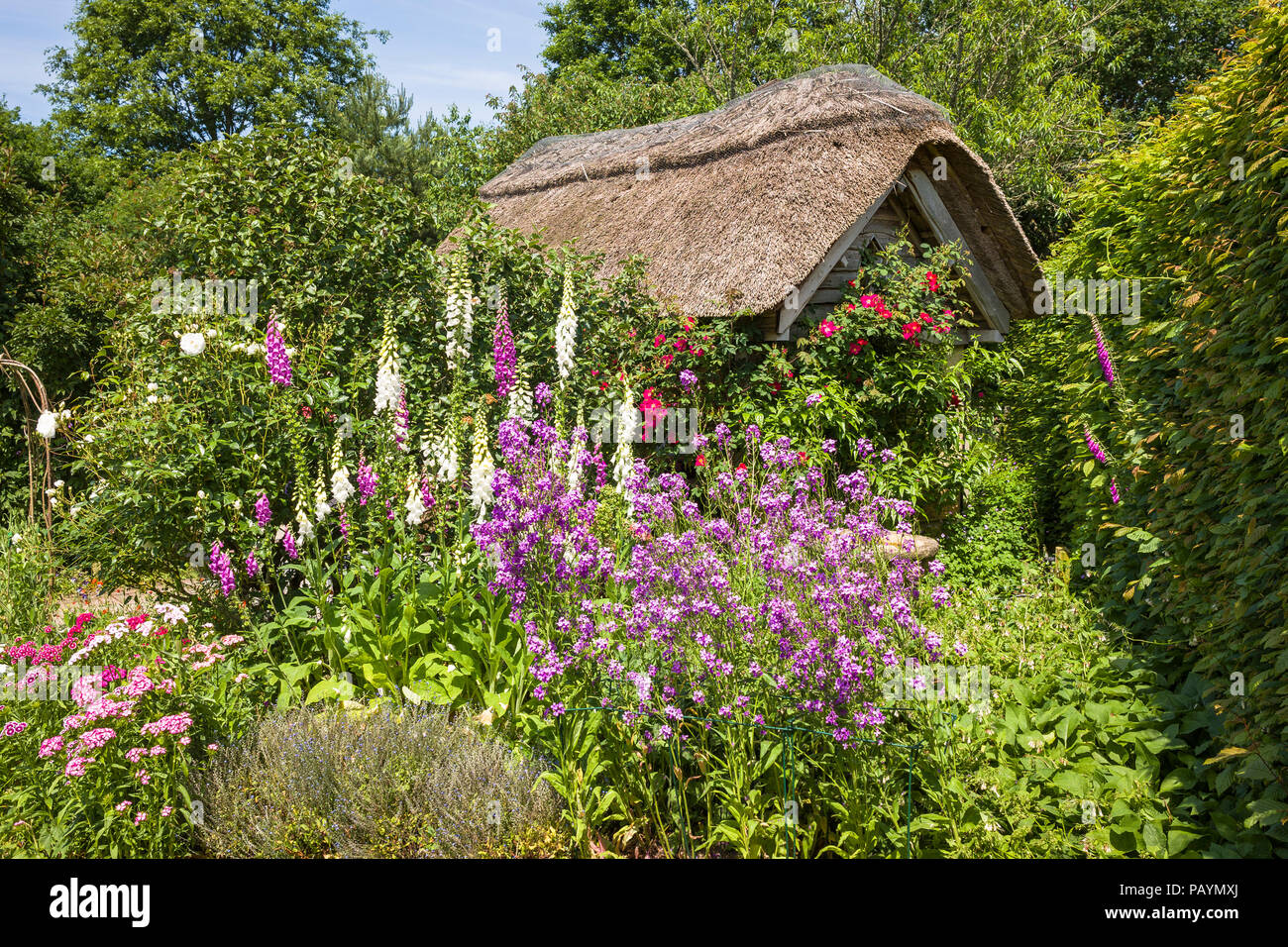 A cottage garden and thatched summer house at Rosemoor North Devon UK Stock Photo