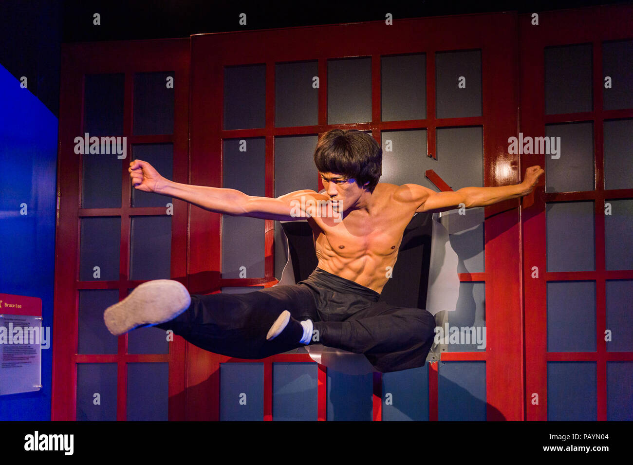 bruce lee action museum