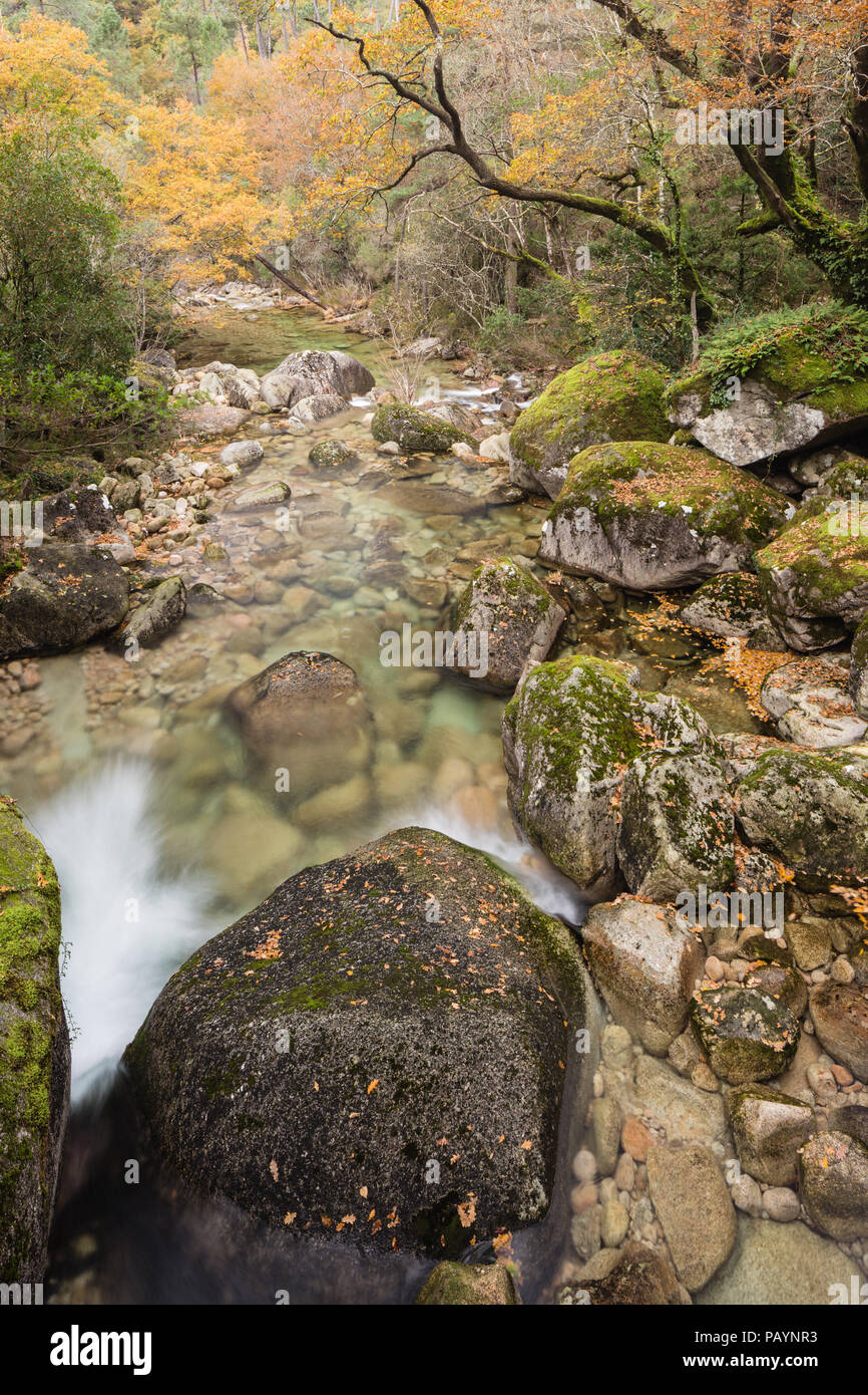 River Homen waterfalls and cascades. Mata da Albergaria, Geres on Geira Romana Stock Photo