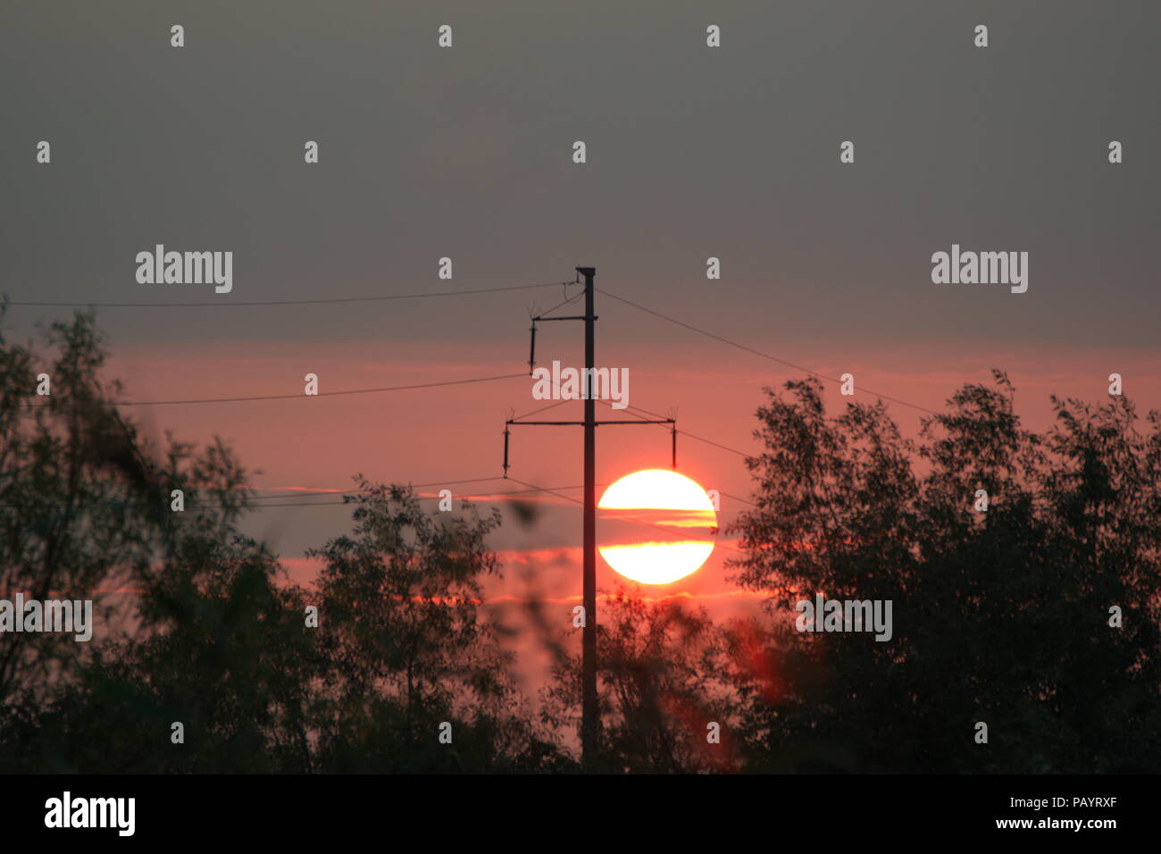 Silhouette of a pole and vegetation at sunset Stock Photo