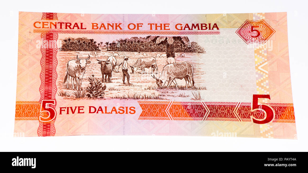 5 Gambian dalasi bank note. Gambian dalasi is the national currency of  Gambia Stock Photo - Alamy