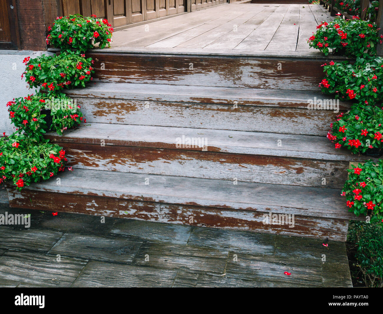 On wooden stairs hi-res stock photography and images - Alamy