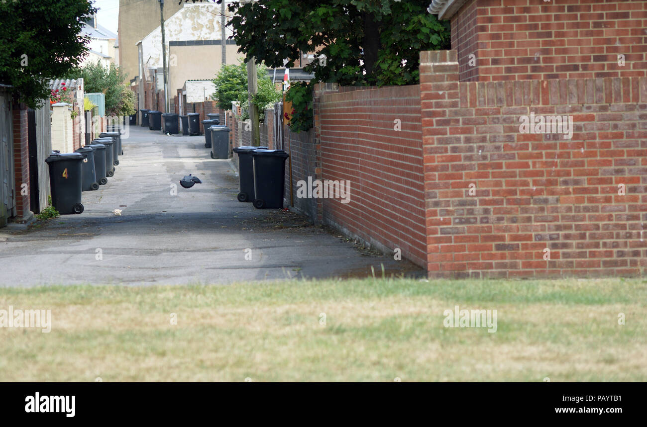 Row of grey plastic recycling dustbins ready for collection Stock Photo ...