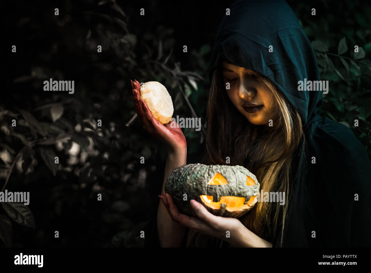 Witch opening pumpkin lid by hand. Old woman holding bright pumpkin in dark forest. Halloween day and Mystery concept. Fantasy of magic theme. Demon a Stock Photo
