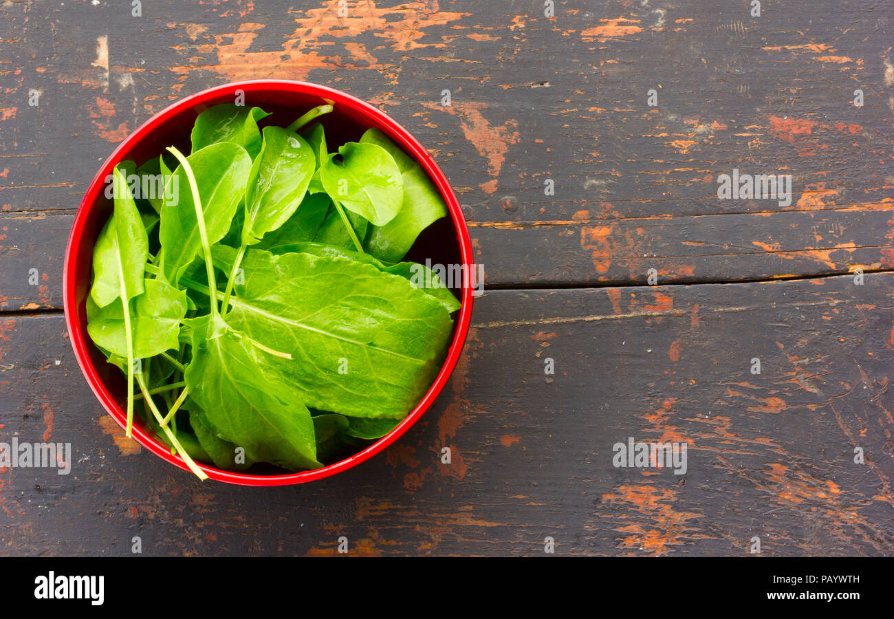 Close up red sorrel leaves hi-res stock photography and images - Page 2 -  Alamy