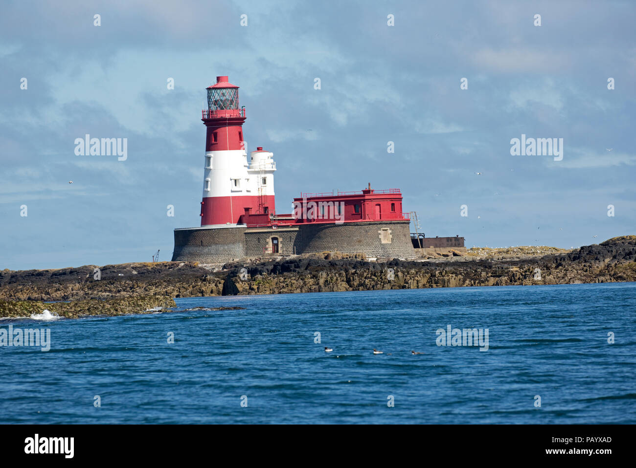 Longstone lighthouse Farne Islands Nortumberland UK Stock Photo