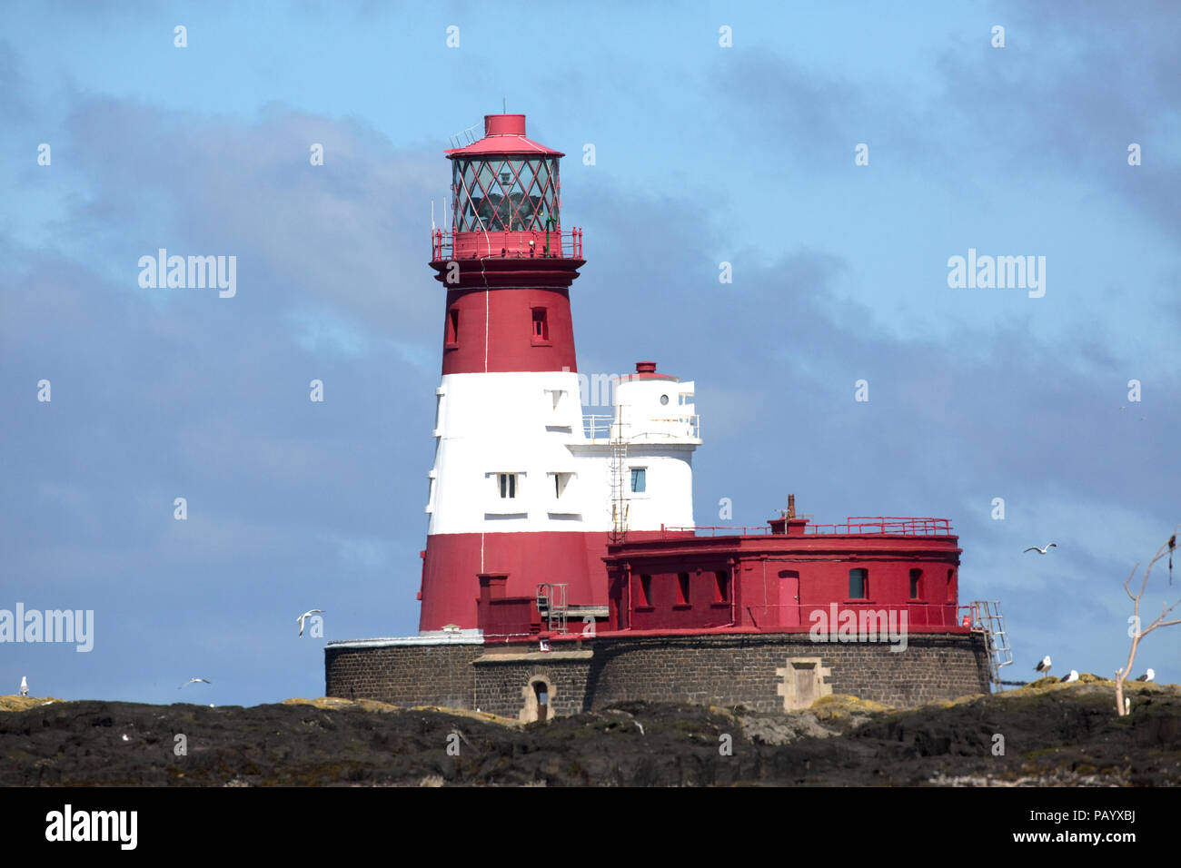 Longstone lighthouse Farne Islands Nortumberland UK Stock Photo