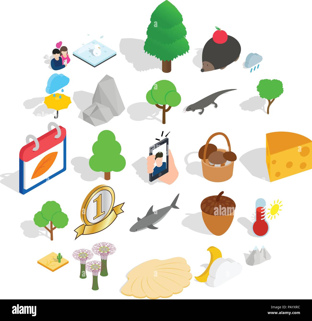 Reservation icons set, isometric style Stock Vector