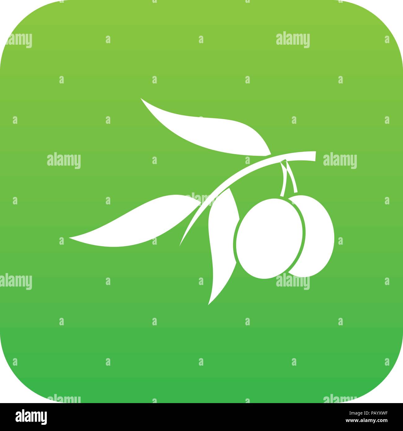 Olive tree branch with two olives icon digital green Stock Vector Image ...