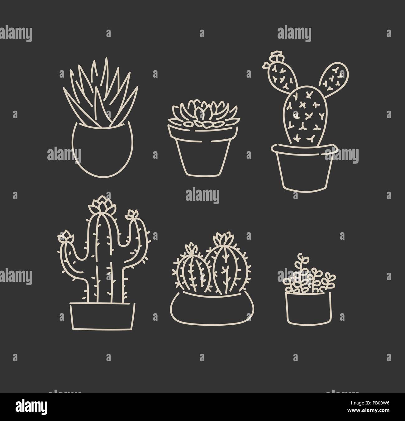 Various succulents cactus types in flowerpots outline vector illustration linear cute sketch set Stock Vector