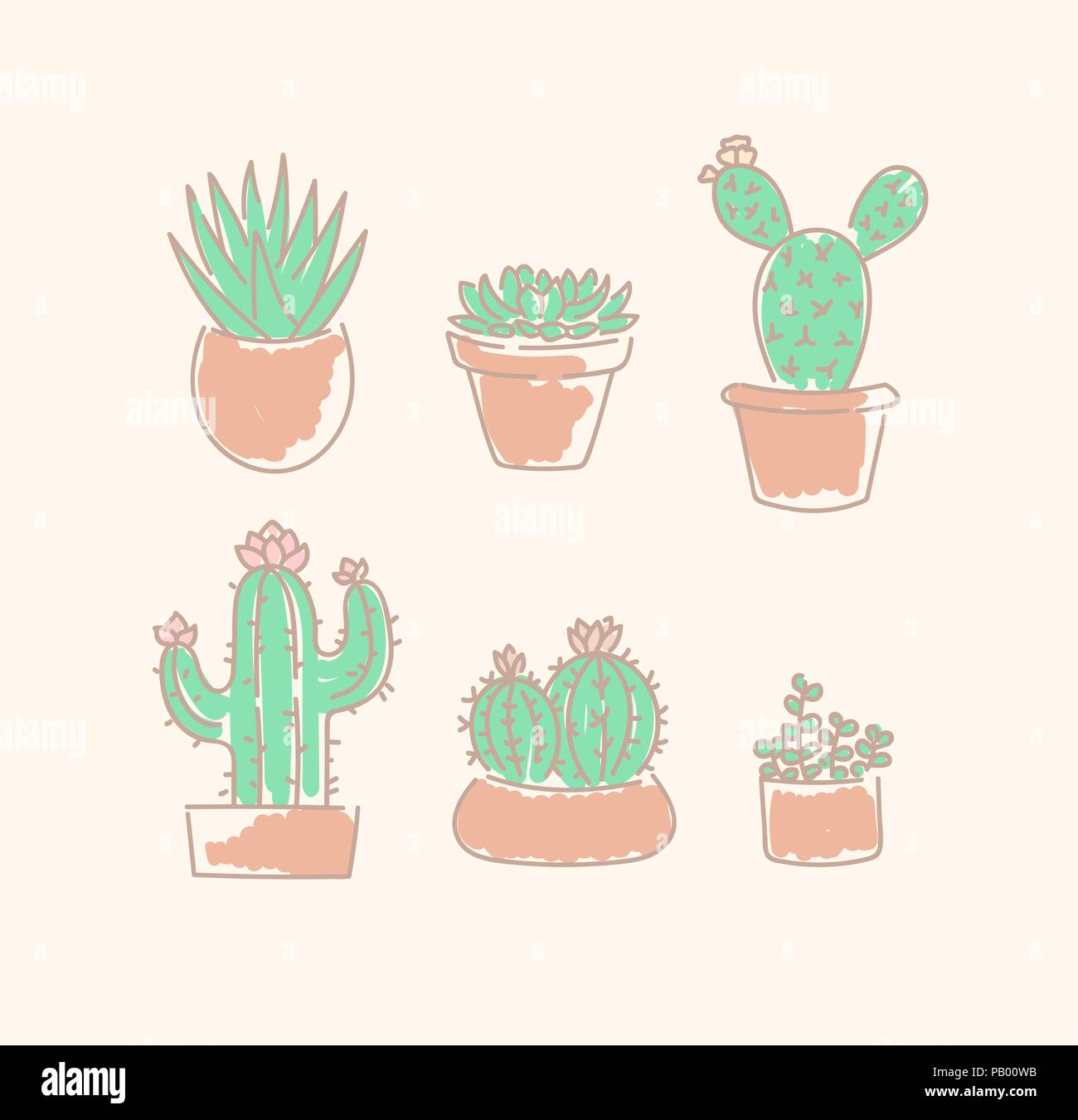 Various succulents cactus types in flowerpots vector illustration linear cute sketch set Stock Vector