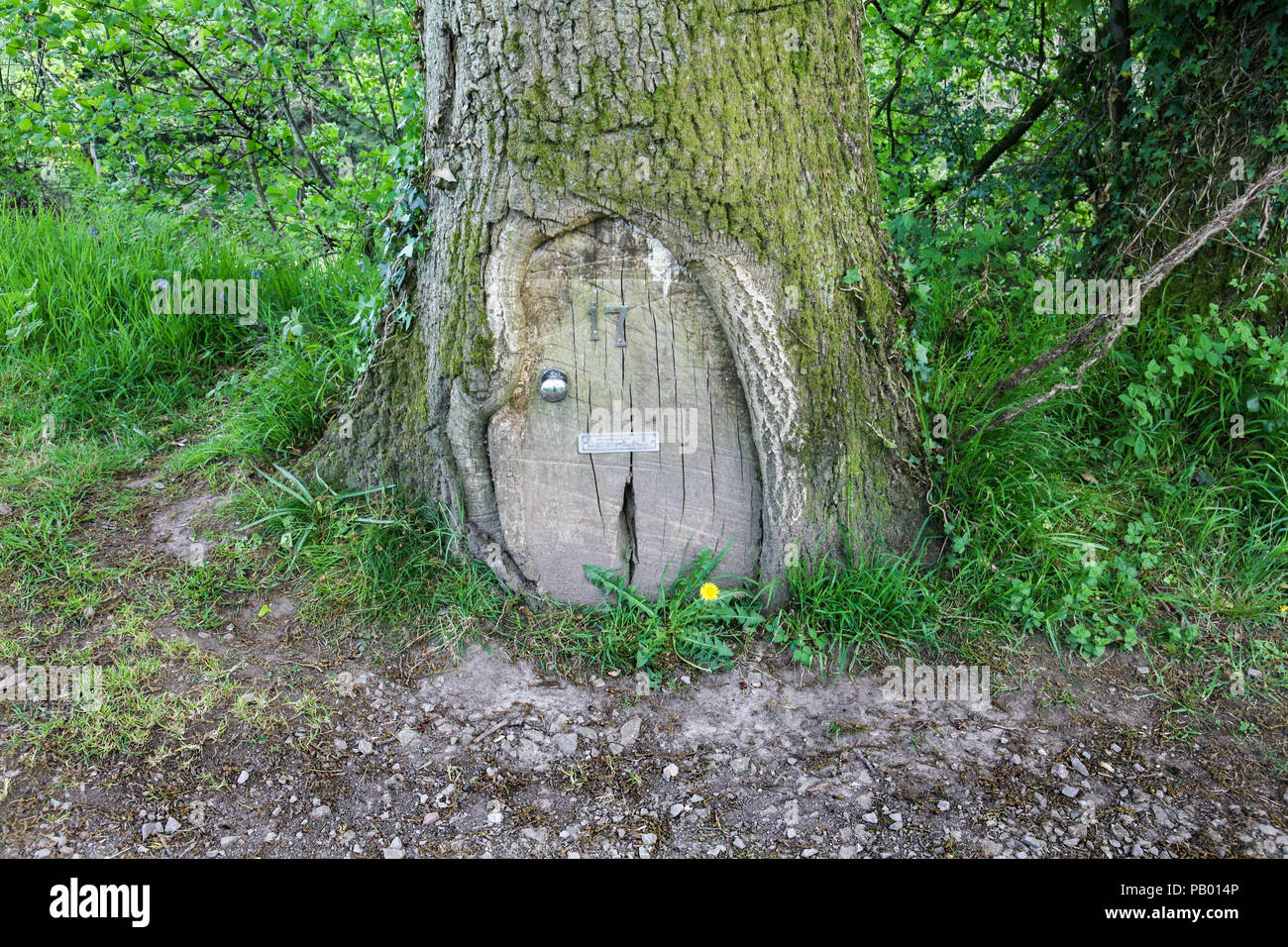 A Pretend Door With Knob Number And Letterbox Placed Where