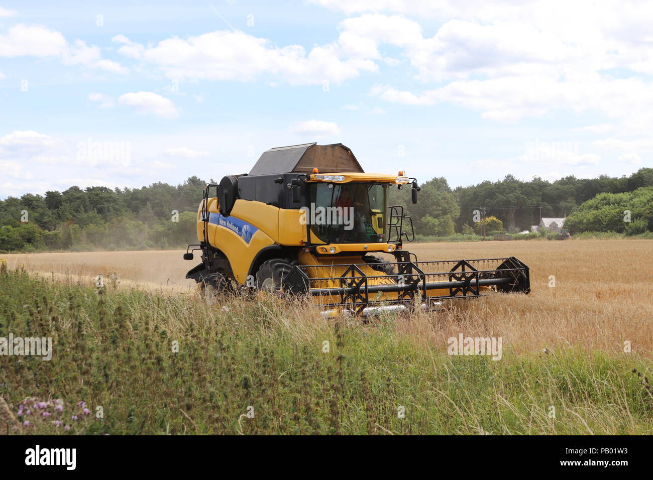 Harvesttime, Wales UK Stock Photo Alamy