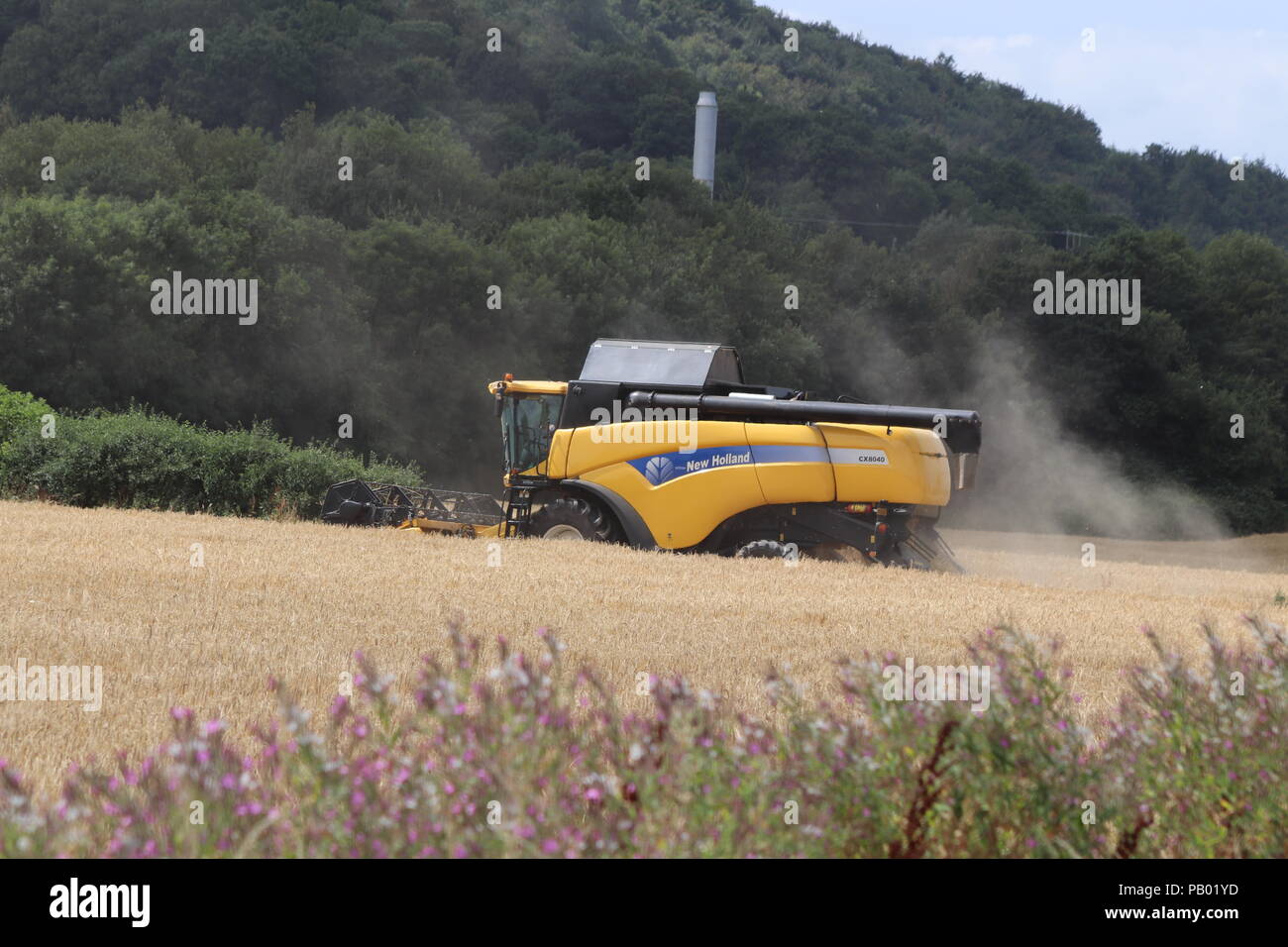 Harvesttime, Wales UK Stock Photo Alamy