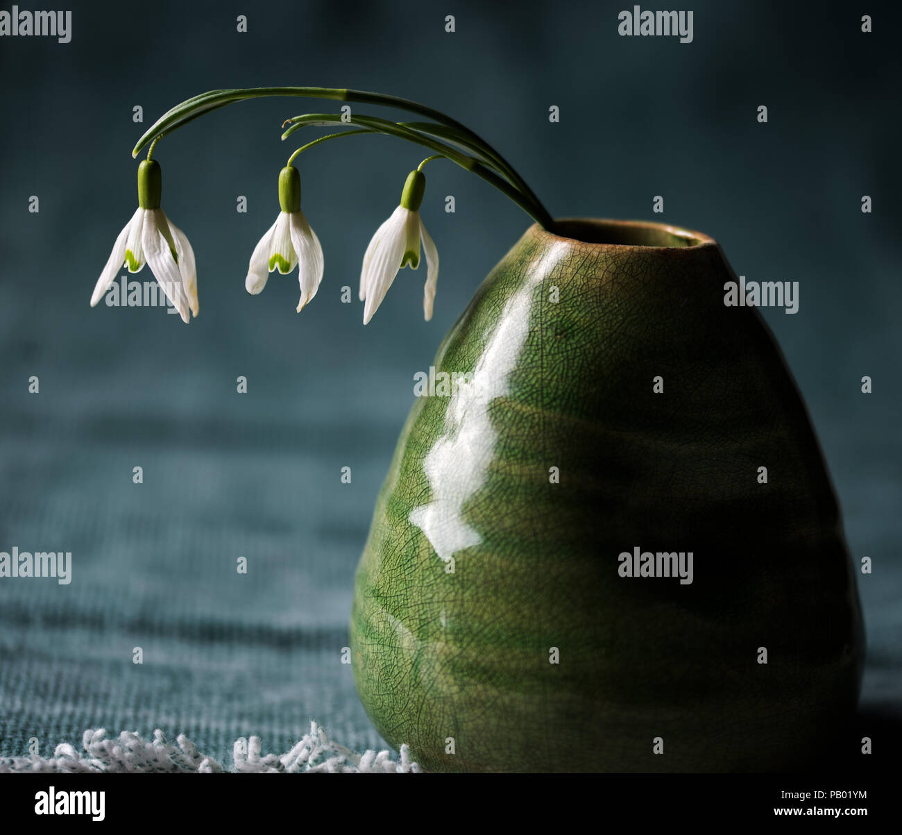 Drei Schneegöckchen in einer grünen Vase Stock Photo