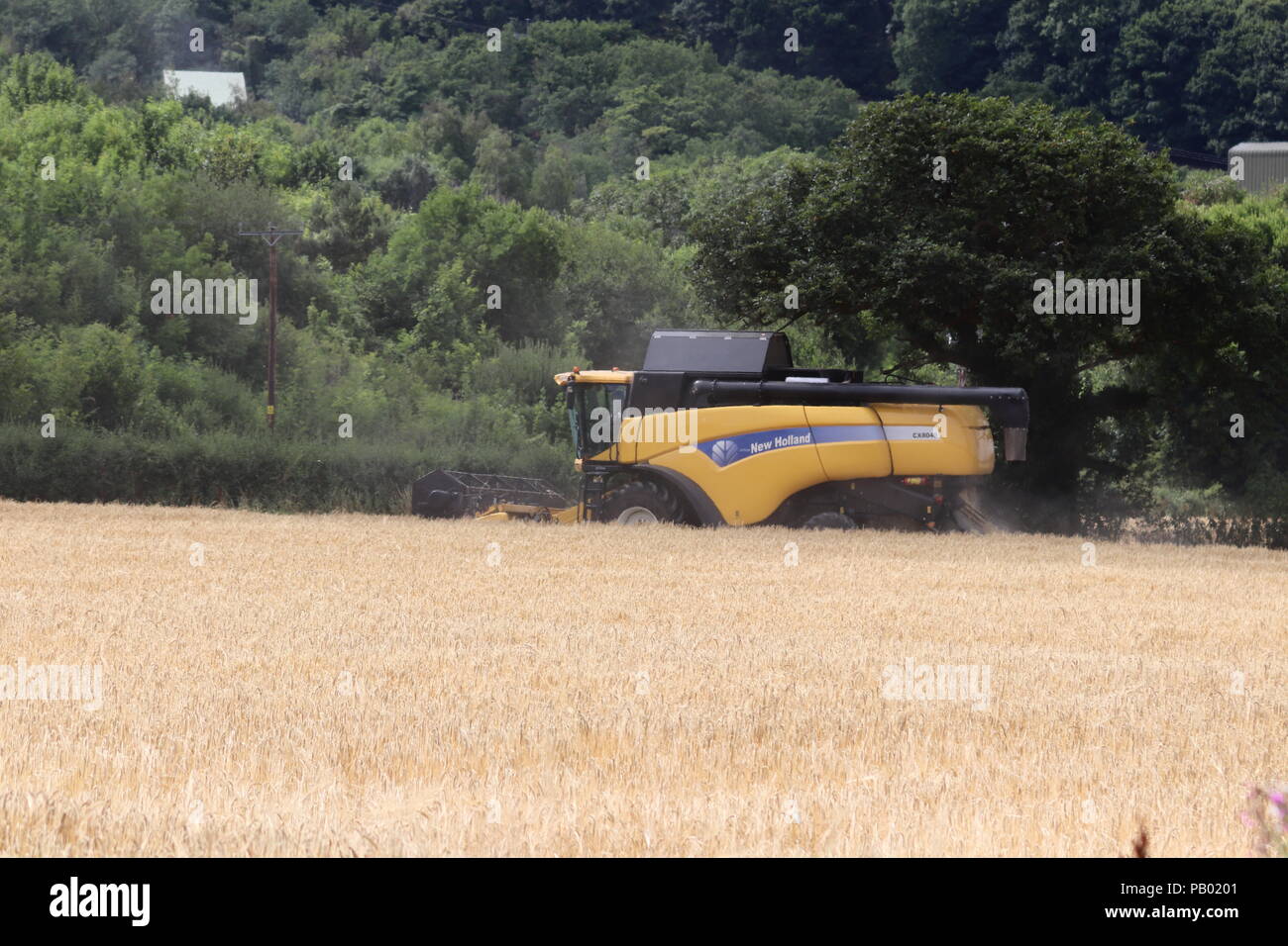 Harvesttime, Wales UK Stock Photo Alamy