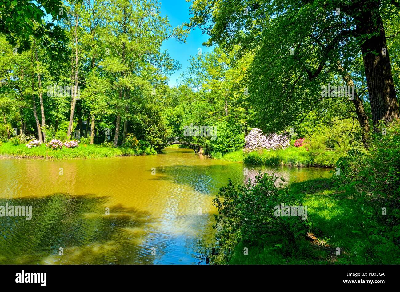 Beautiful green spring park. Bridge and flowers in the park. Stock Photo
