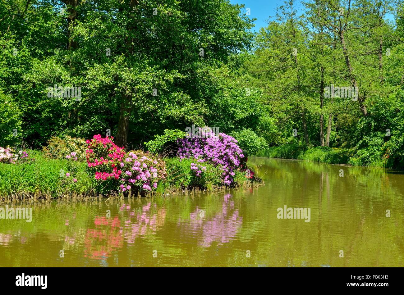 Beautiful spring landscape. Colorful flowers and greenery at the pond in the park. Stock Photo