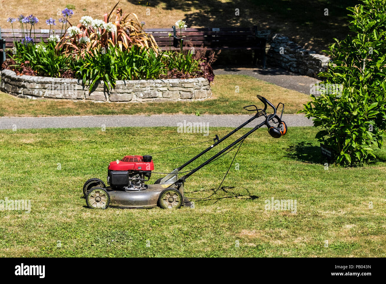 A petrol driven grass mowing machine in Trenance Garden in Newquay Cornwall. Stock Photo