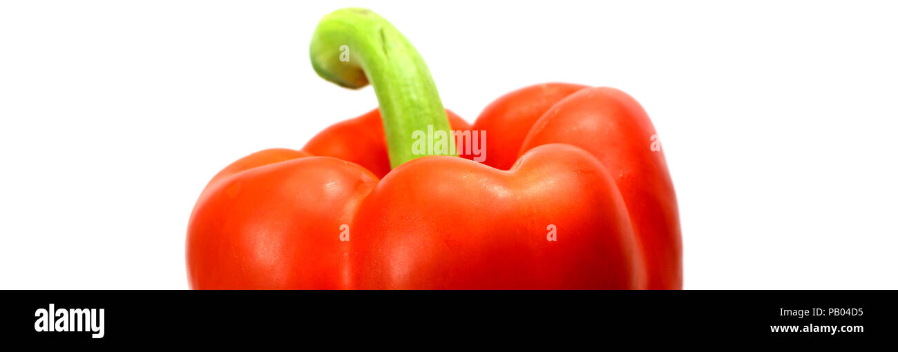 wet and fresh red pepper bell paprika isolated on white background Stock Photo