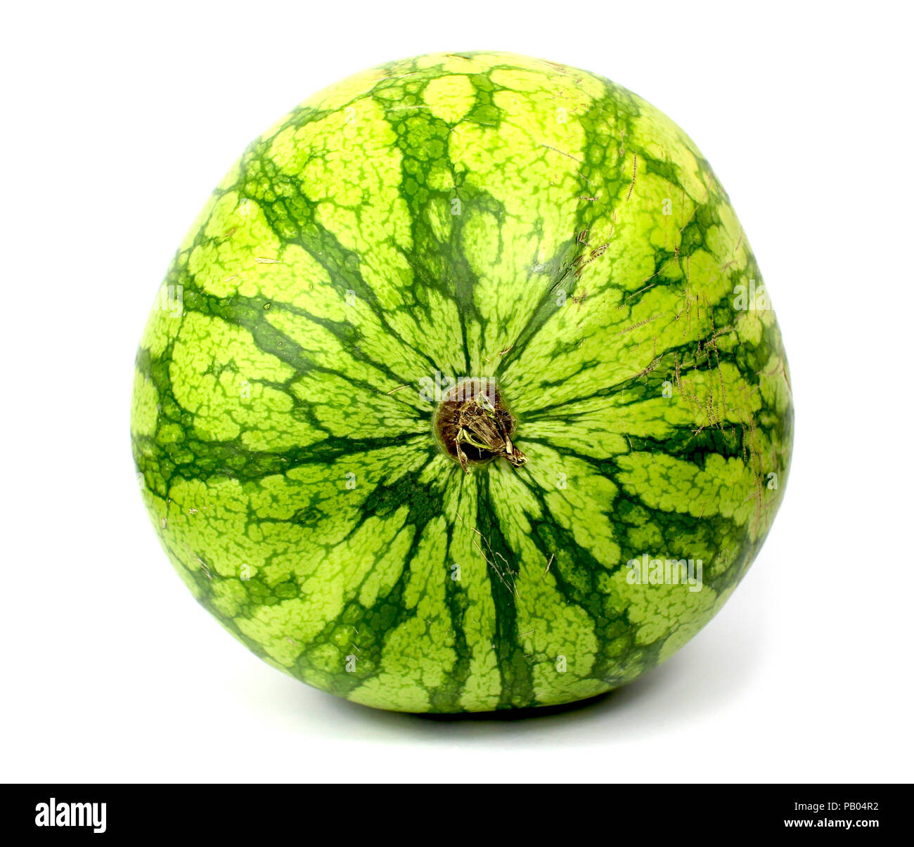 Single watermelon uncut isolated and close up on white background Stock Photo