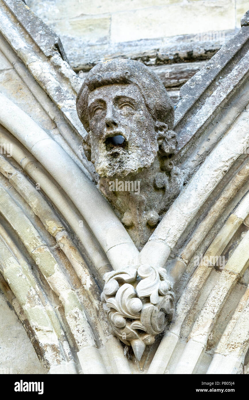Carved stone Gargoyle on Salisbury Cathedral Stock Photo Alamy