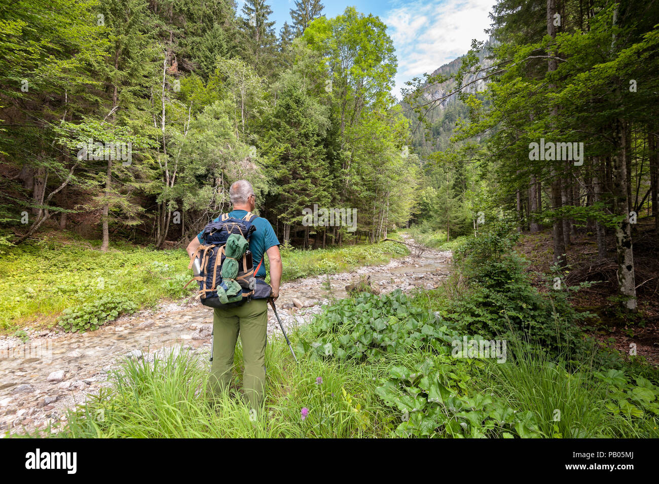 Mature hiker with backpack near a stream observes his path to the mountain. Healthy lifestyle. Stock Photo