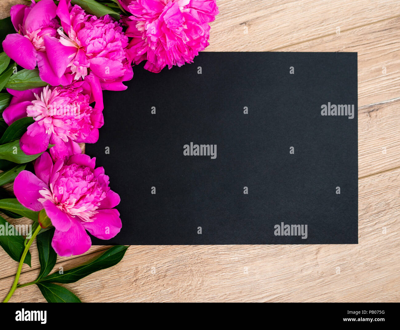 Pink floral assorted pink flower on wooden background with black paper free space, copy space for tekst. Stock Photo