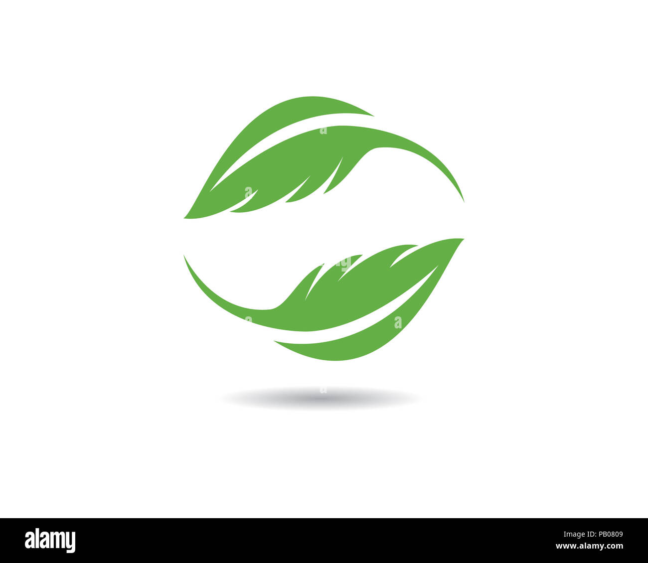 Logos of green leaf ecology nature element vector icon Stock Photo - Alamy