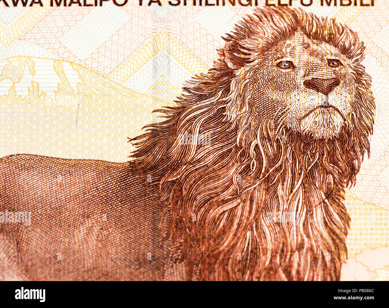 Forex tanzanian shilling