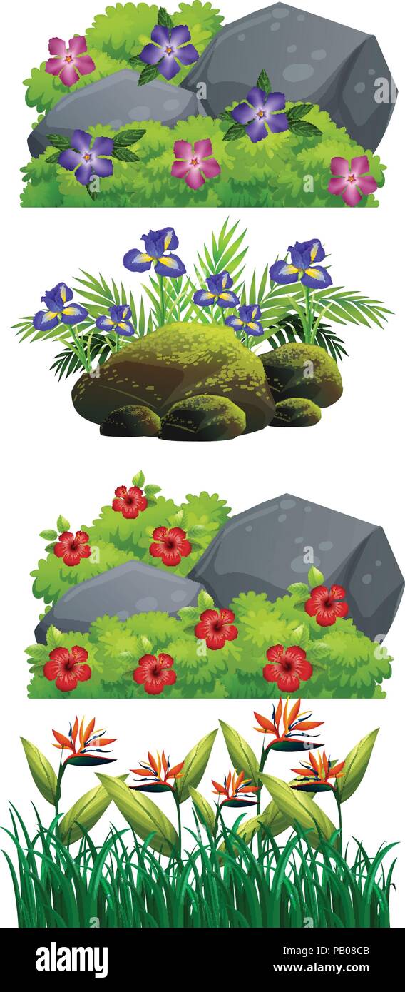 A set of flower and nature illustration Stock Vector Image & Art - Alamy