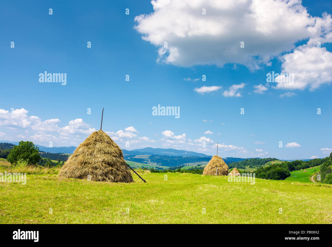 Haystacks on the grassy field. beautiful summer weather. lovely rural area in mountains Stock Photo