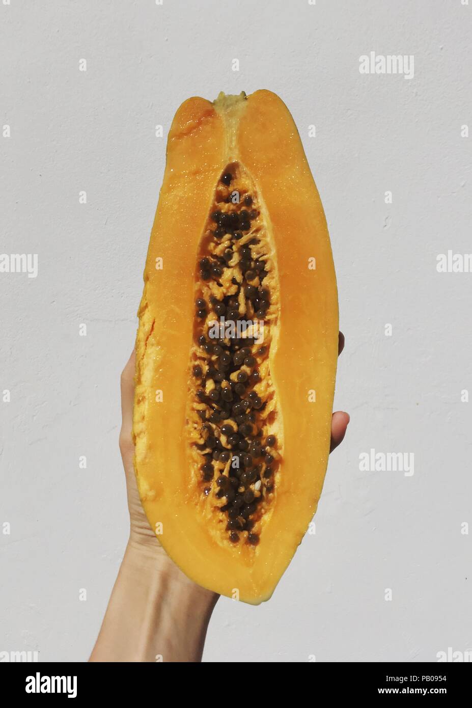 Woman's hand holding a papaya fruit Stock Photo Alamy