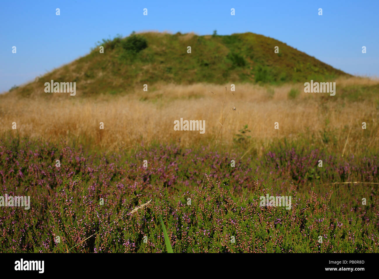 Bronze age burial mound (Firehøje) near Vejle, Denmark Stock Photo