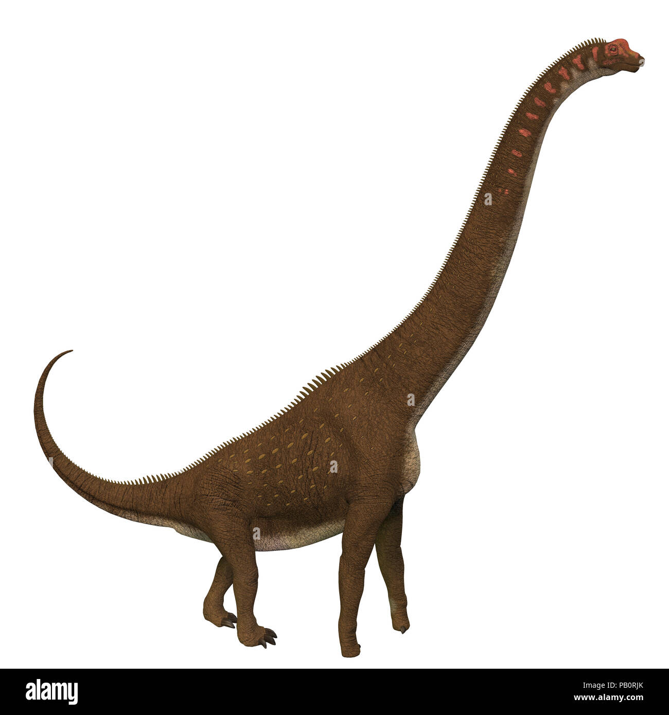 Giraffatitan Dinosaur Side Profile - Giraffatitan was a herbivorous sauropod dinosaur that lived in Africa during the Jurassic Period. Stock Photo