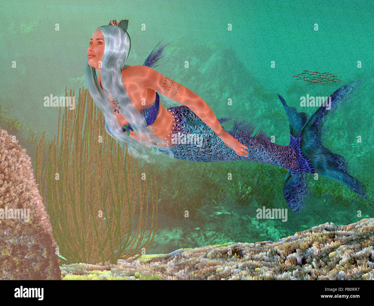 Marine Mermaid - A beautiful mermaid crowned with seashells swims gracefully underwater through a marine reef. Stock Photo