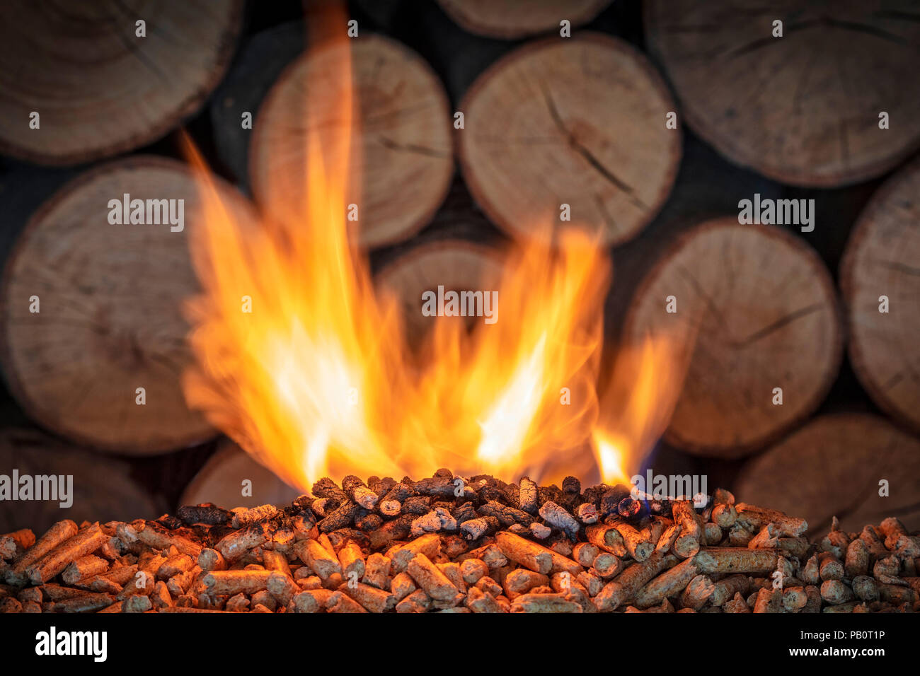 flame and wood pellet with cutted trunks background Stock Photo