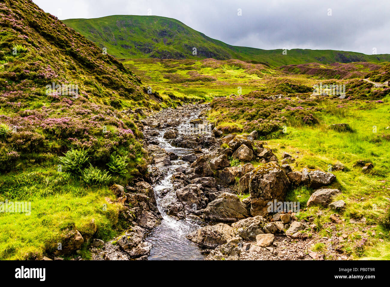 Grey Mare's Tail Nature Reserve, Moffat Hills, Dumfries & Galloway, Scotland. July 2018. Stock Photo