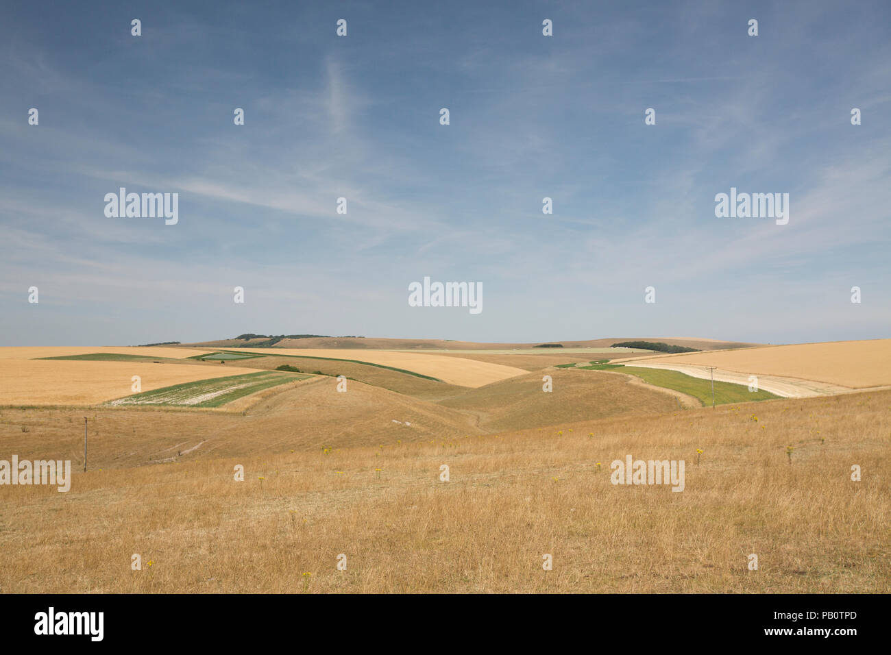 A view of the Wiltshire landscape above the small town of Mere during the UK 2018 heatwave showing dried grass and farmers’ crops in fields. Wiltshire Stock Photo