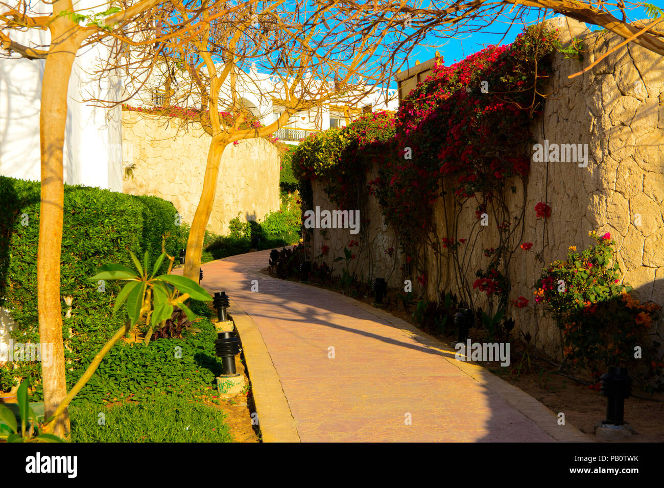 Sharm el-Sheikh, Egypt - March 14, 2018. The courtyards of a magnificent white hotel on a summer day. The concept of tourism, vacations and luxury rec Stock Photo