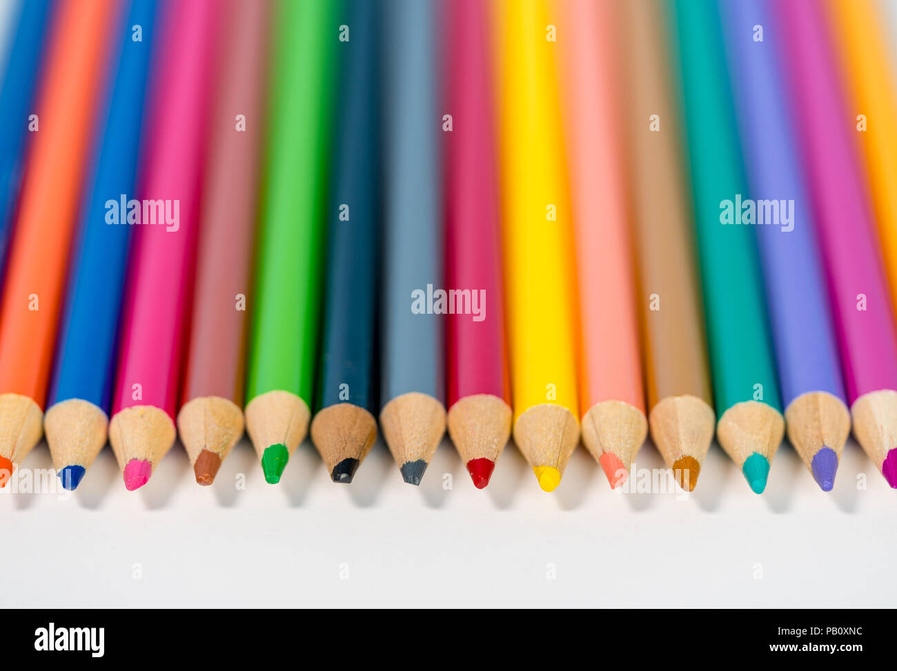 Row of white pencils #1 Photograph by Blink Images - Pixels