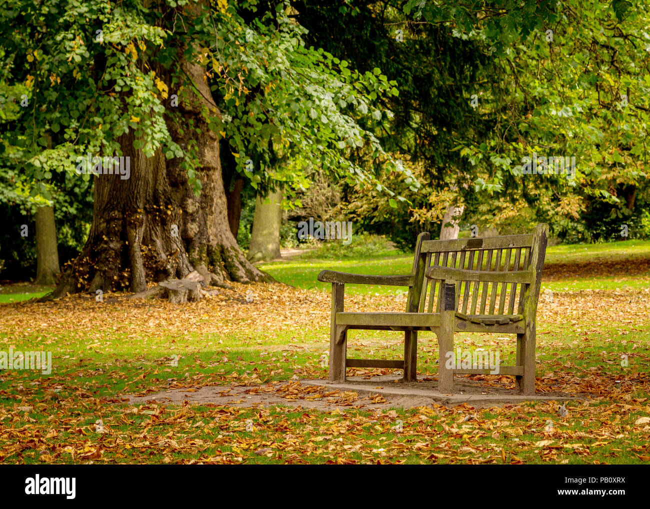 A peaceful scenic walk through Cannon Hill Park in Birmingham at the start of Autumn. Stock Photo