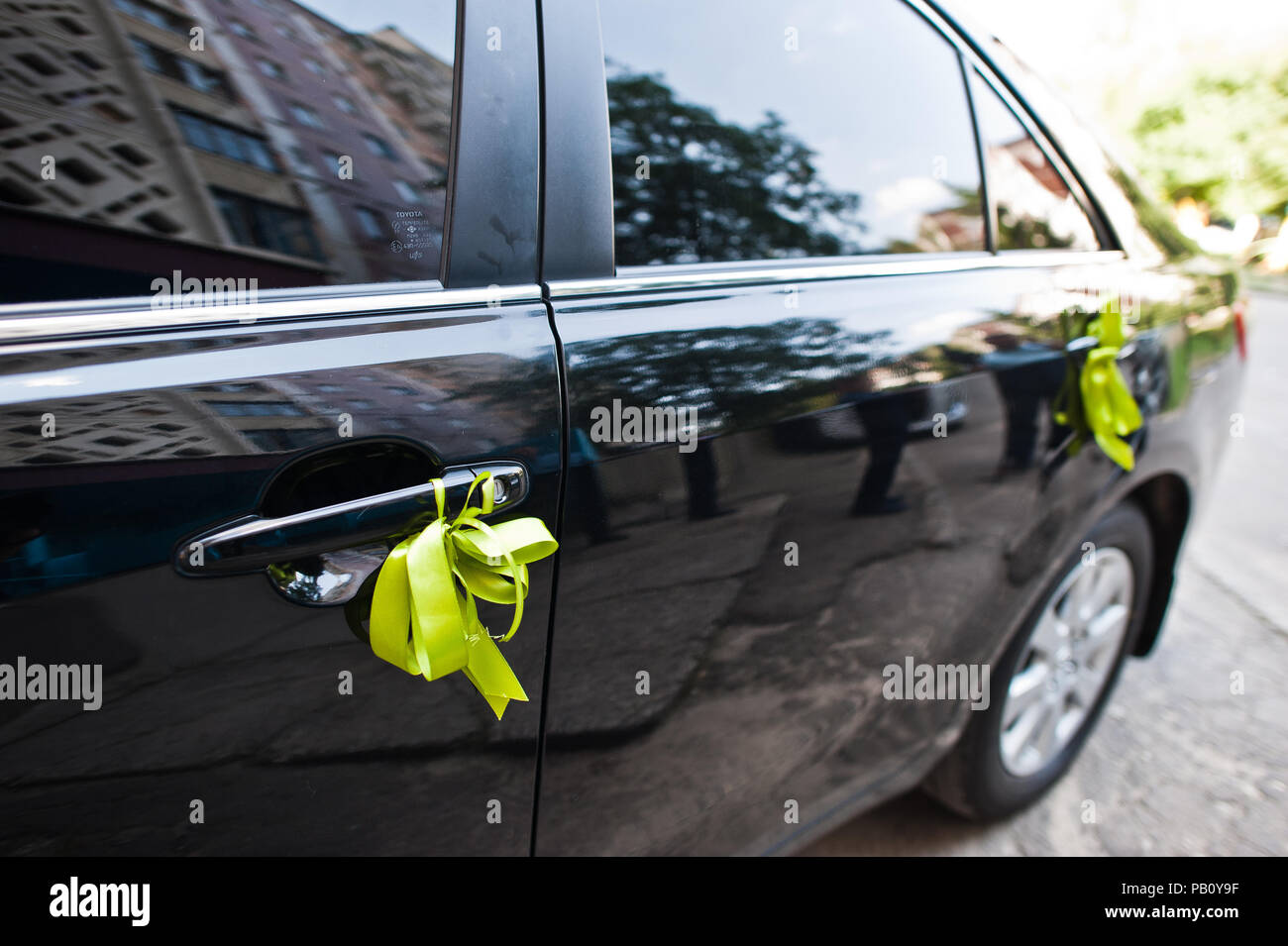 Close Up Photo Of Light Green Bows Tied On Car Doors Wedding Car
