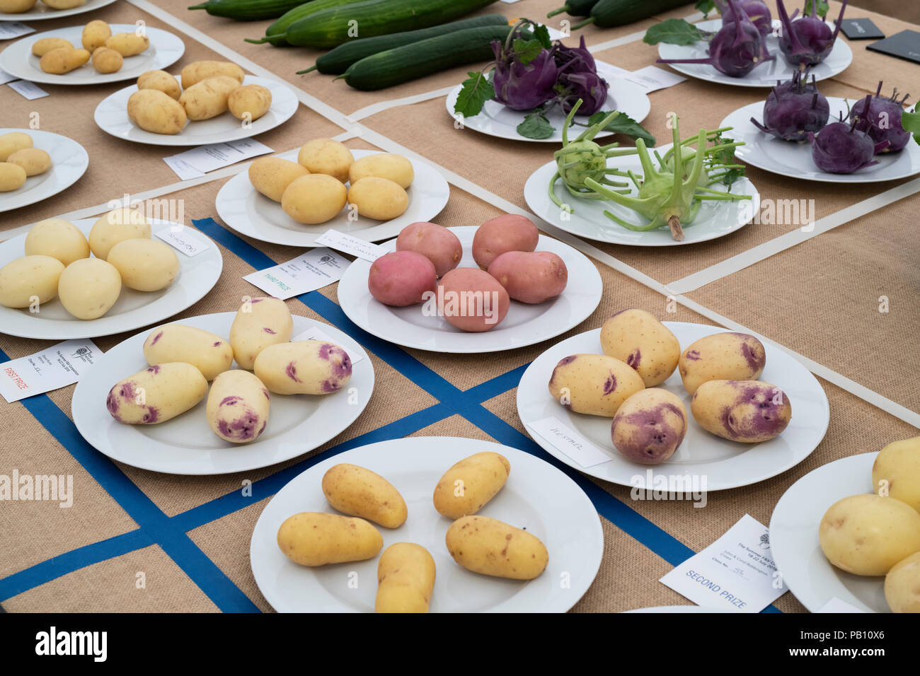 Solanum tuberosum. Potato varieties on a flower show display. UK Stock Photo