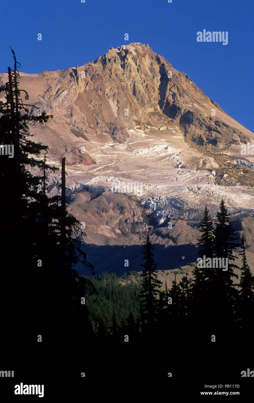 Mt Hood from Elk Meadows Trail at Newton Creek Mt Hood Wilderness Mt Hood National Forest Oregon Stock Photo Alamy